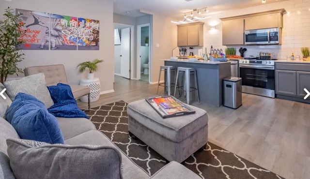 Beautiful Contemporary Suite #16