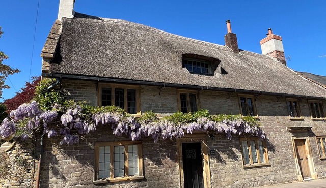 Beech House - Evershot, Dorset