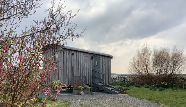 Bespoke hand built Shepherds Hut in Dunbeath.