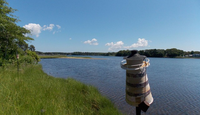 Best of Both Worlds on Swan Pond in Dennisport
