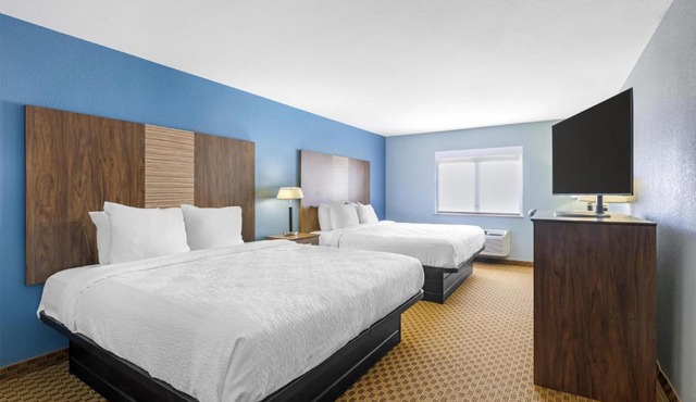 Best Western South Plains Inn & Suites
