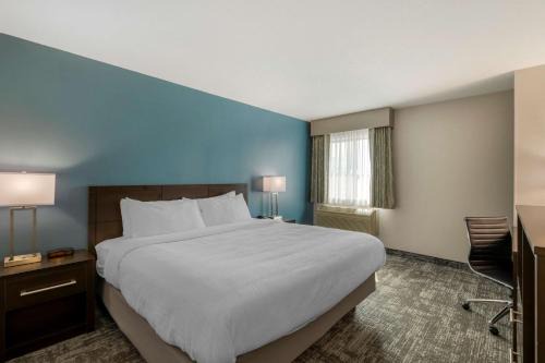 Best Western Watertown Inn & Suites