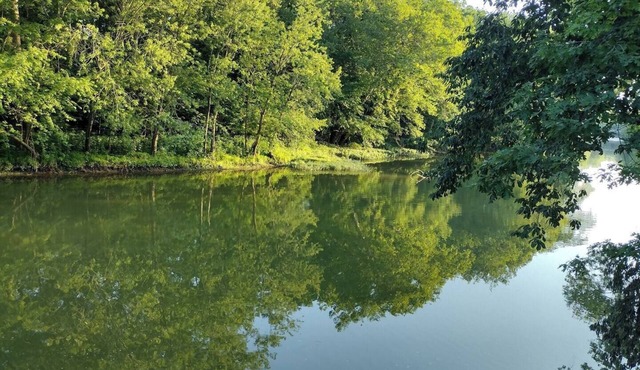 Big Darby Creek Cottage, Water Front
