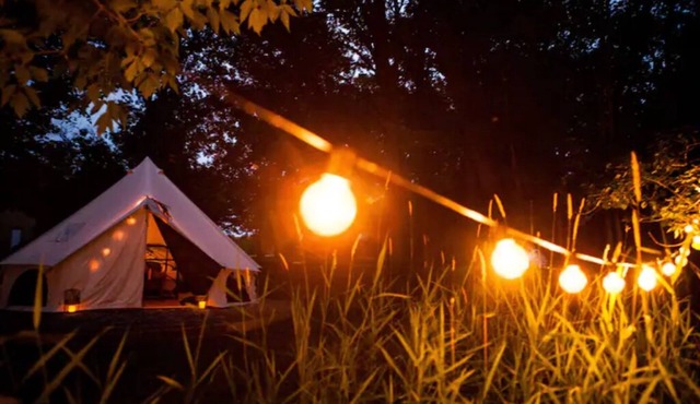 Birch Tent at The Grove Glamping