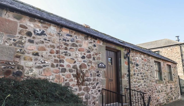 Bizzie Lizzie, Wooler