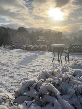 Braeburn Guesthouse