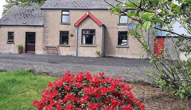 Brook Haven:Traditional Irish Farmhouse