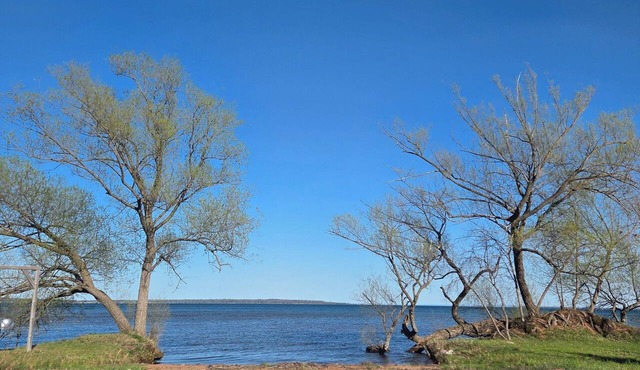 Cabin 4/Cozy 2-bedroom cabin in peaceful Bayfield with AC