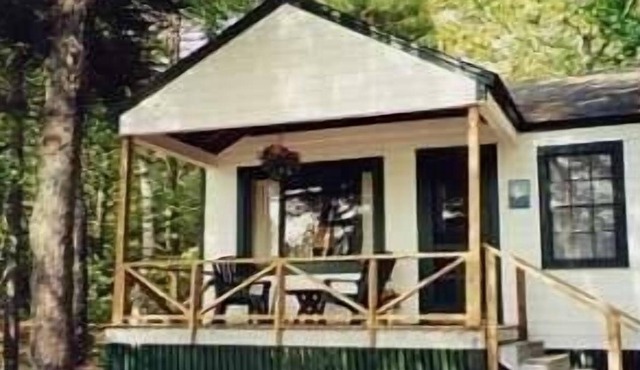 Cabin in the Woods Across from Lake & Beech Mountain