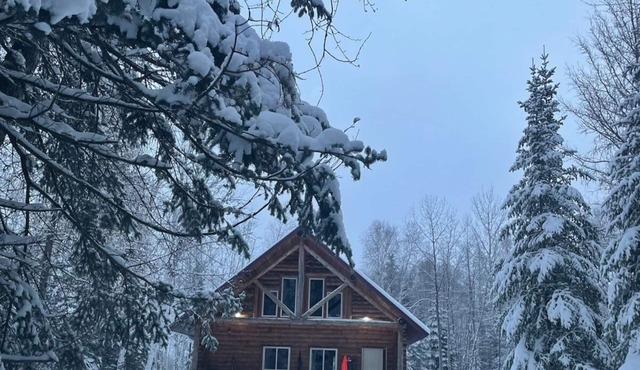 Cabin in Williams MN. 10 miles to Lake of the Woods. Near Baudette and Warroad.