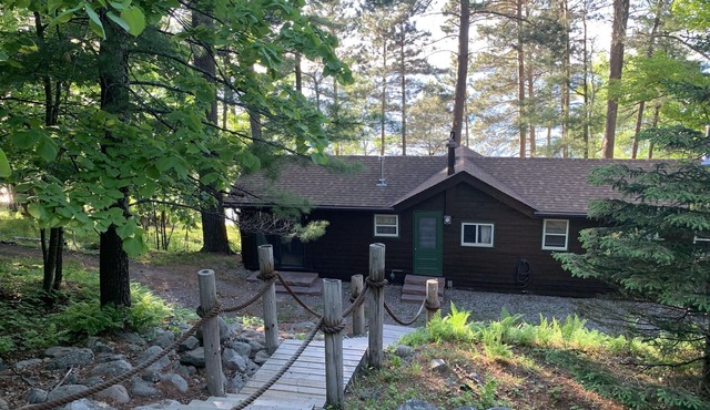 Cabin Nestled Amongst Towering Pines Bluff Overlooking Main Body of Woman Lake