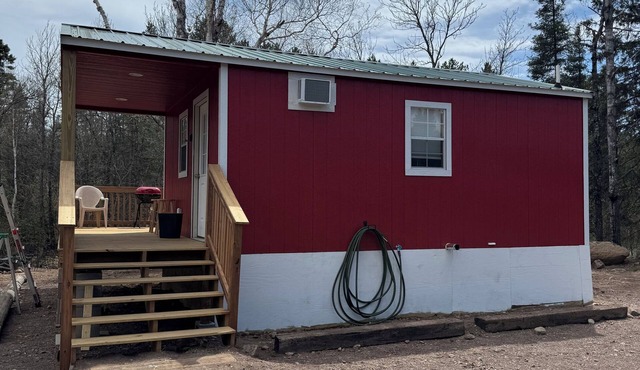 Cabin Spruce on the Baptism River