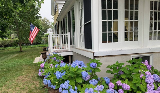 Captain Ellis Antique Home in Harwich Port, Cape Cod, MA - 1 Room Rental