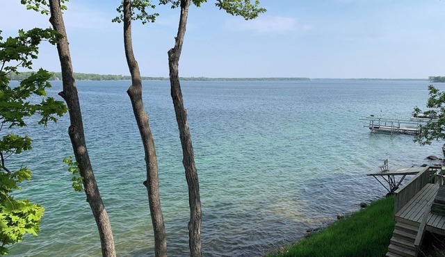 Chain of Lakes Alexandria - Lake Carlos - swim from dock. 5 bedrooms.