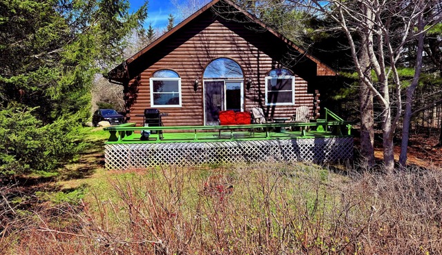 Charming cabin in phenomenal Seal Cove ME