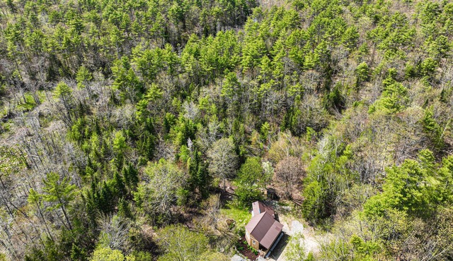 Charming Cabin with Nature's Embrace and Family-Friendly Comforts