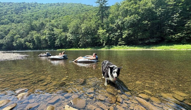 Charming house in Jersey Mills perfect for a relaxing getaway.