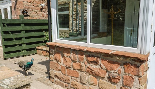 Charming Mousehole Cottage Retreat