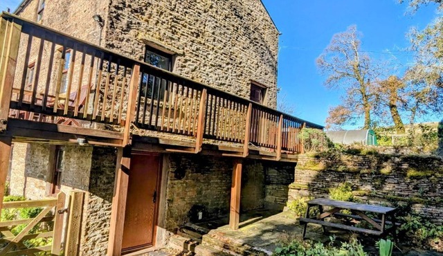 Chestnut, Alston, Cumbria
