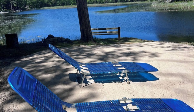 Clear Lake West Branch area. Ride your ORV to the trails from the back door !