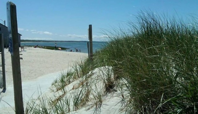 Conveniently located, spacious & pet-friendly with large fenced in yard