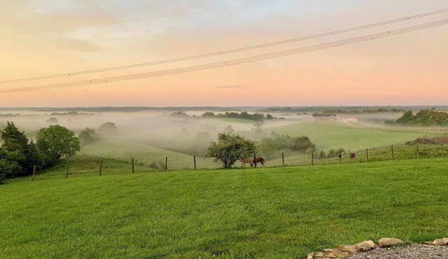 Cordova Retreat - 7 Minutes from the Ark!