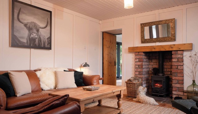 Cosy and stylish, dog and family friendly cottage just south of Aviemore