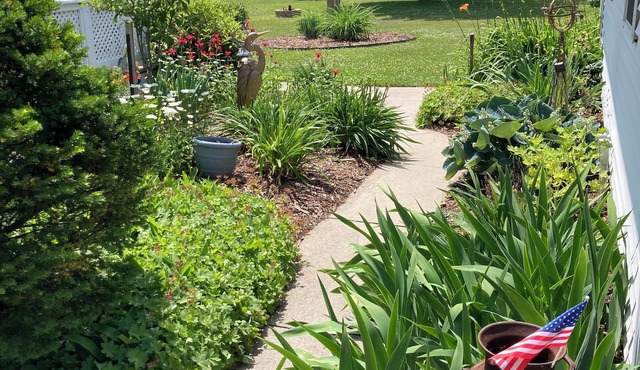 Cozy Algoma Retreat: Minutes to Beach & Downtown!