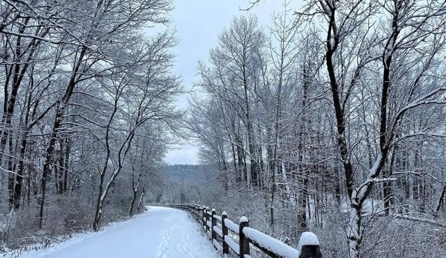 Cozy apartment on the Susquehanna river and near Pine Creek Rails to Trails.