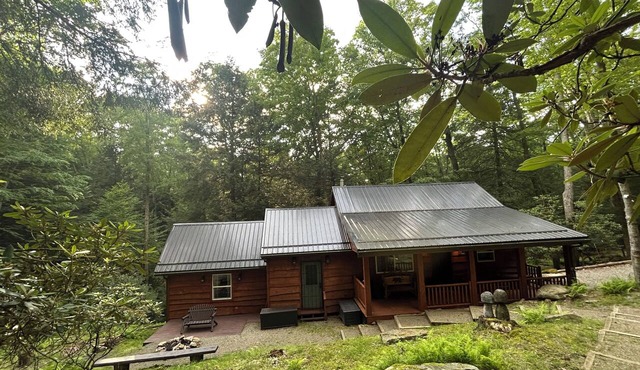 Cozy Bear Cabin in Cook Forest 2 miles from the Clarion River!