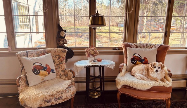 Cozy Bedroom in English Cottage Home with priv office/living space in Plaistow!