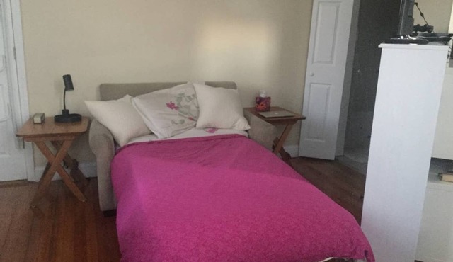 Cozy Boston 2bd Apt in a quiet neighborhood walking distance to the T