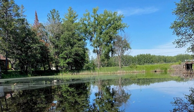 Cozy Cabin on River/ Lake Accessible One Level Private Duplex