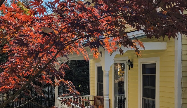 Cozy Cottage in Historic Norfolk