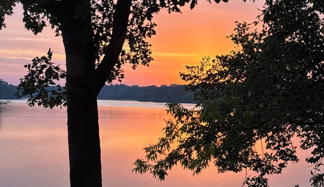 Cozy Lakeside Cabin, gorgeous view, relaxing sauna, fenced yard for dogs!