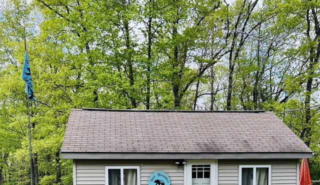 COZY LITTLE CABIN in the woods!