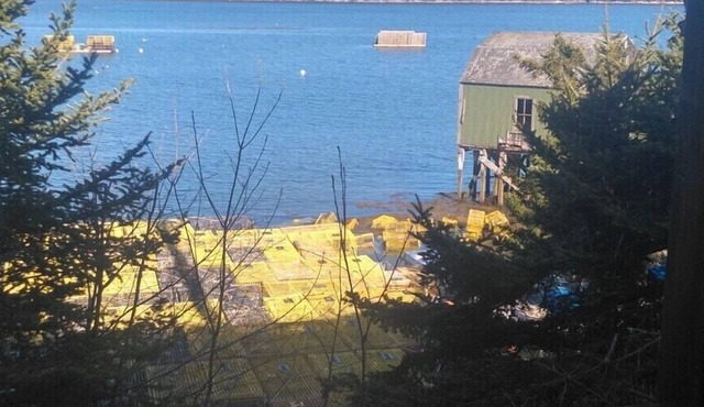 Cozy Maine Get-Away: Cundy's Harbor, Harpswell