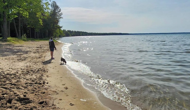 Cozy PRIVATE cabin near ORV & snowmobile trails! Only 5 minutes to Higgins Lake!