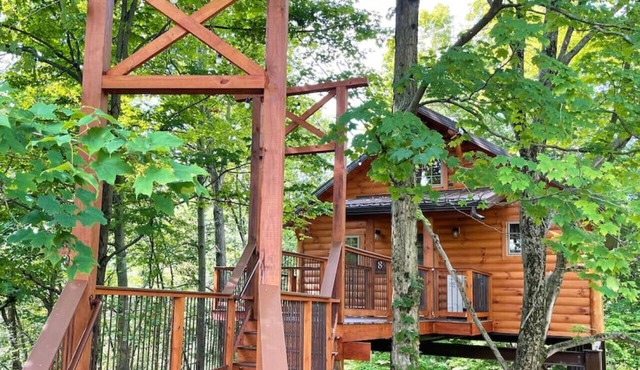 Cozy Treehouse Cabin with Treetop Views