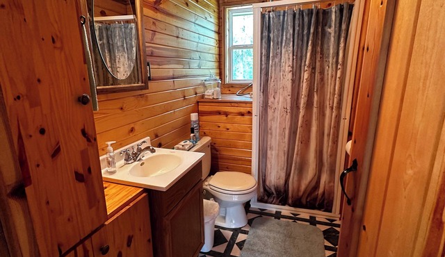 Cute cabin on Big Pine Lake with a large fenced yard and lake access