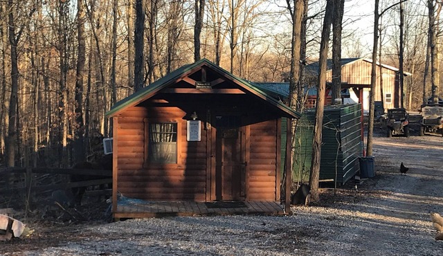 Cute cozy cabin