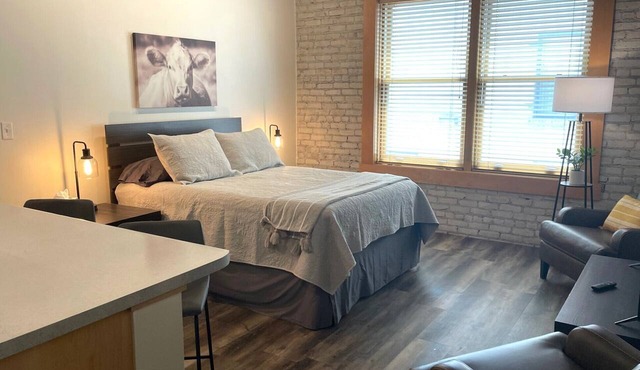 Dakota Suite in Downtown Fargo Historic Building Pet Friendly