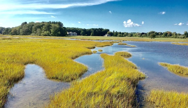Darling Moody Beach Cottage; Marsh Views & Steps Away from Beach. Sleeps 6-8.
