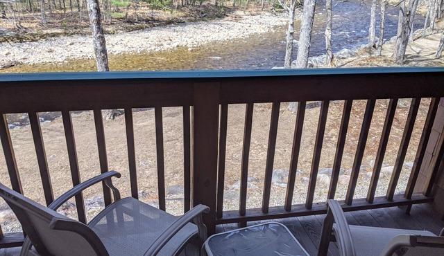 Deer Park River View Condo with AC