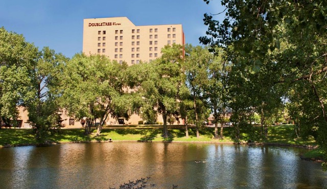 DoubleTree by Hilton Minneapolis Park Place