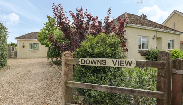 Downs View