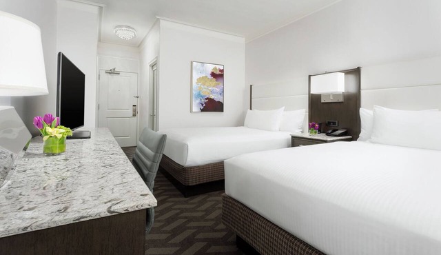 Downtown Boston Stay: Hotel with Comfort-Focused Room | Near Public Garden