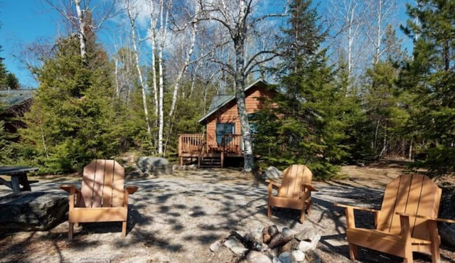 Elbow Lake Lodge: White Birch - 2BR/1BA Lakefront Cabin