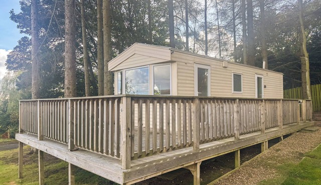 Emerald Pines - UK50577