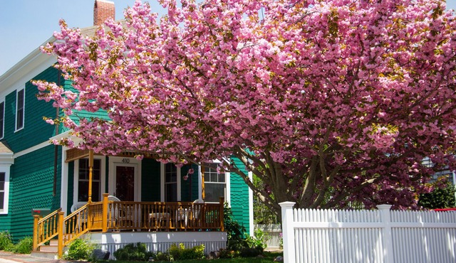 Enjoy any time of year- at East End Captains Home, Provincetown